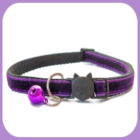 Selling: Glitter Cat Collar - Purple