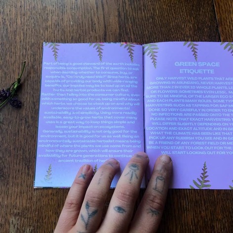 Selling: The Wildcrafting & Foraging Calendar Zine-10Pcs