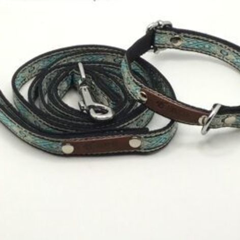 Selling: Finnigan Designer Collar 23S Set