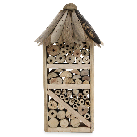 Selling: Driftwood Bee & Insect Highrise Box