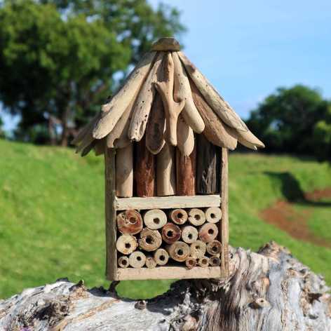 Selling: Driftwood Bee & Insect Double Box