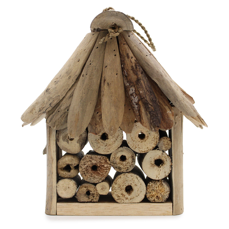 Selling: Driftwood Bee & Insect Box