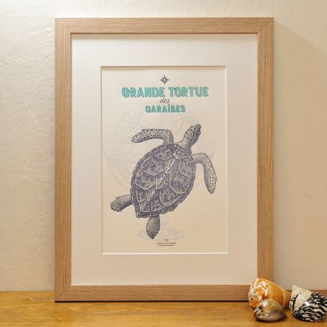 Selling: Art Print Large Turtle From The Caribbean