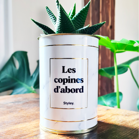 Selling: Les Copines D'Abord - Plante Grasse